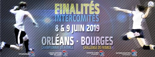 Intercomités 2018-2019 | Finalités